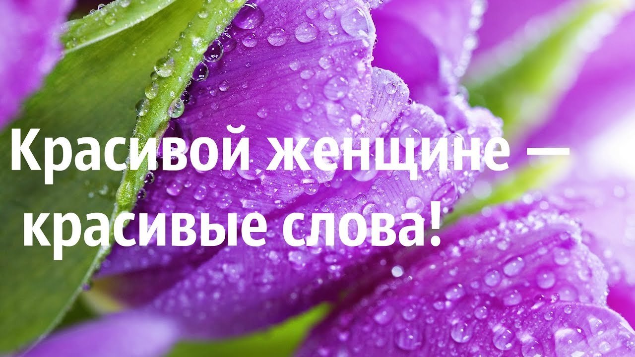 Красивые открытки со словами красивых женщин, открытки