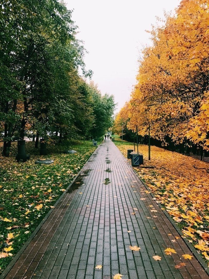 Картинки лето осень
