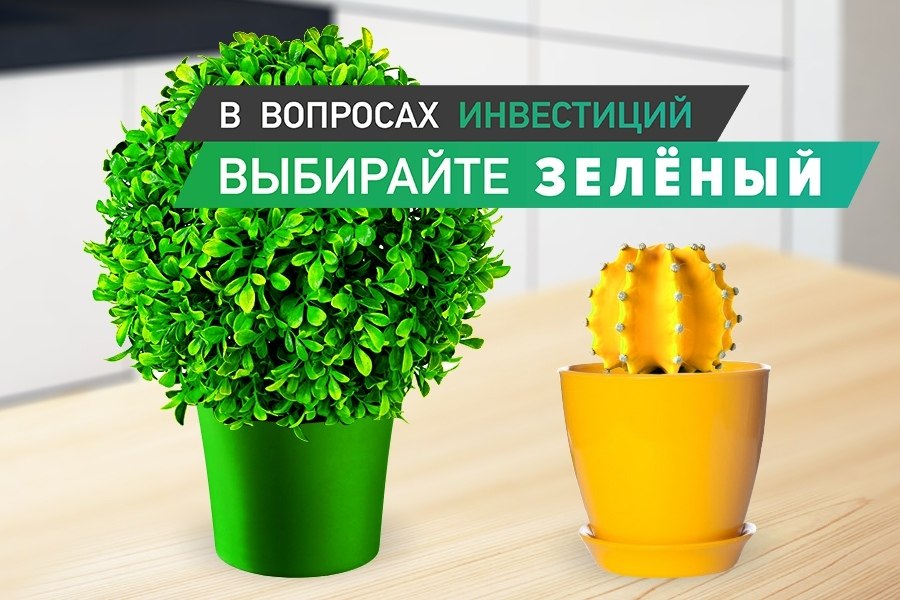 Выбери green. Зеленый выбор.