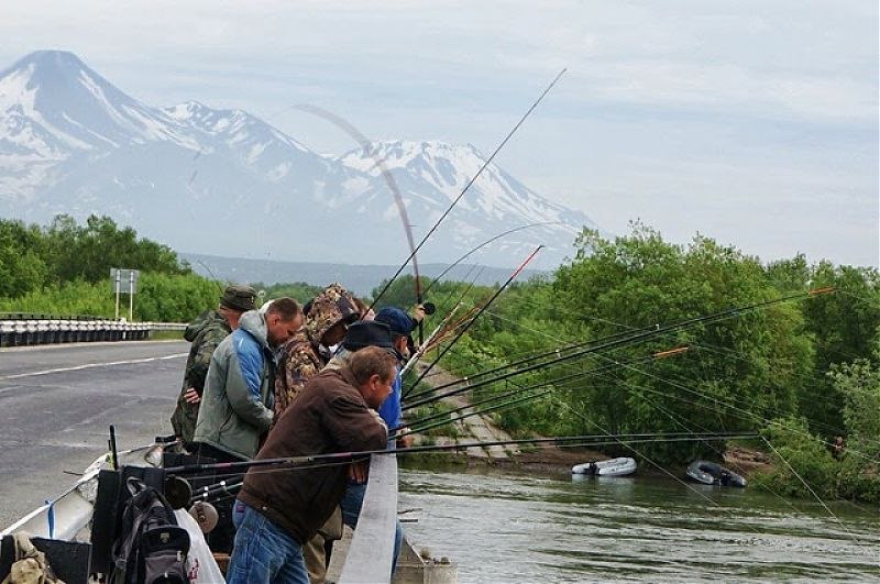 Рыбалка на реках камчатки. Река Авача Камчатка. Река Авача Елизово. Река Авача рыбалка. Река Авача на Камчатке рыбалка.