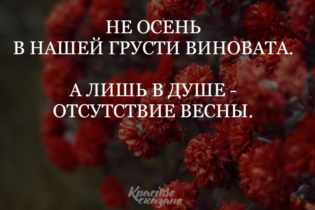 Не осень в нашей грусти виновата а лишь в душе отсутствие весны картинки