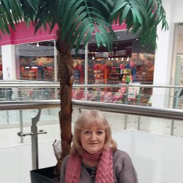 , 61 , 