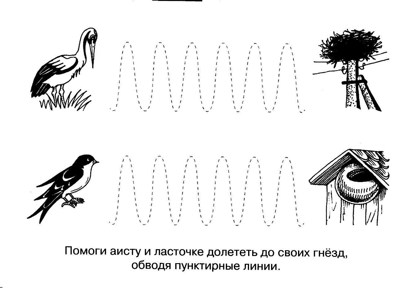 Задания птички