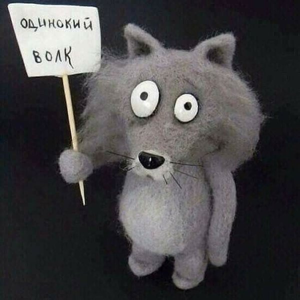 Одинокий волк прикольная картинка, открытки днем