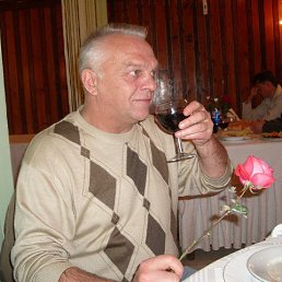 Валерий Шувертков, 65 лет, Нижний Новгород