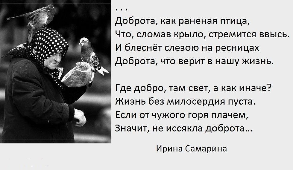 Добро там. Стихи о доброте и милосердии. Стихи о милосердии. Стихотворение о доброте и милосердии. Стихи о милосердии и сострадании.