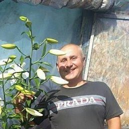 , 50 , 