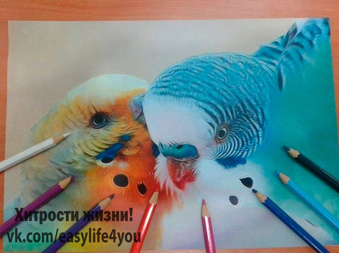 Рисование карандашами цветными мастер класс для детей