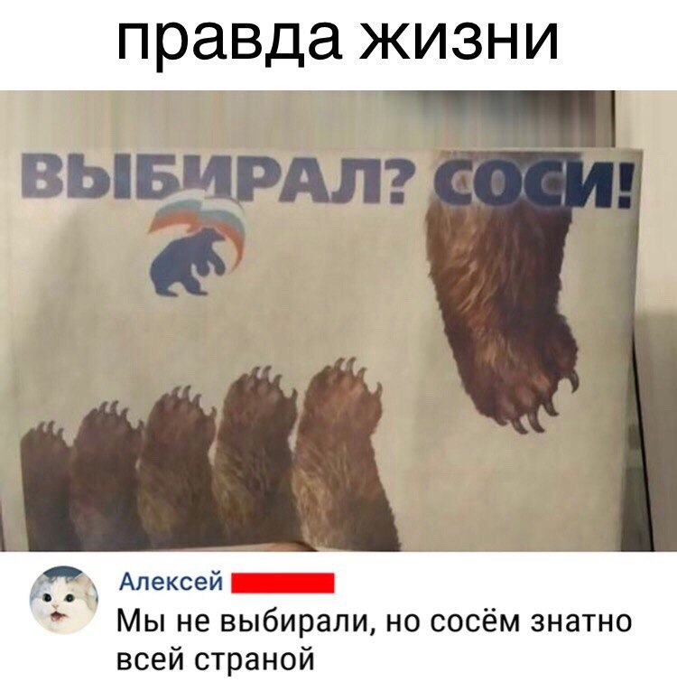 Голосуй а то проиграешь картинки