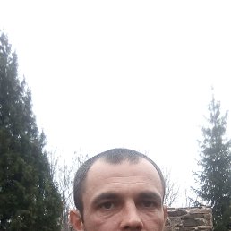 ГІСЕМ, 38 лет, Тячев