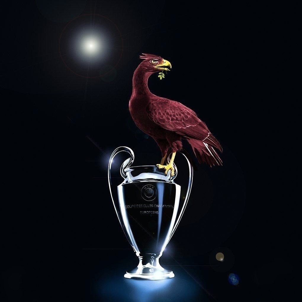 Liverbird птица