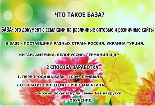 Оптовые Базы Поставщиков Для Интернет Магазина