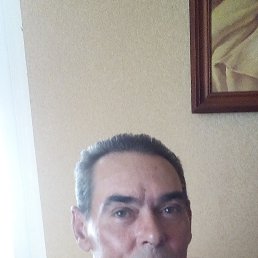, 53 , 