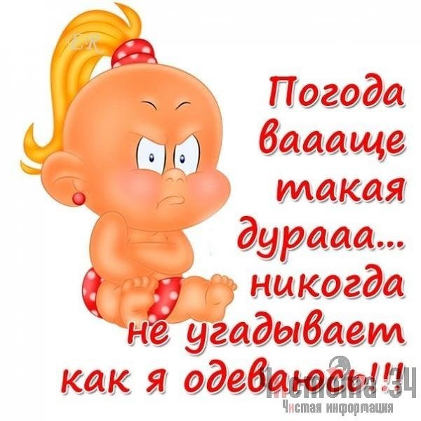 Прикольные, прикольные картинки о погоде с надписью