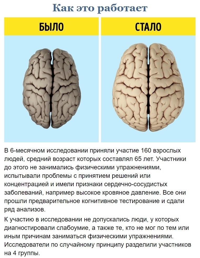 Японские тесты на старение мозга в картинках с ответами