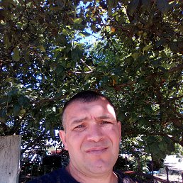 , 44 , 