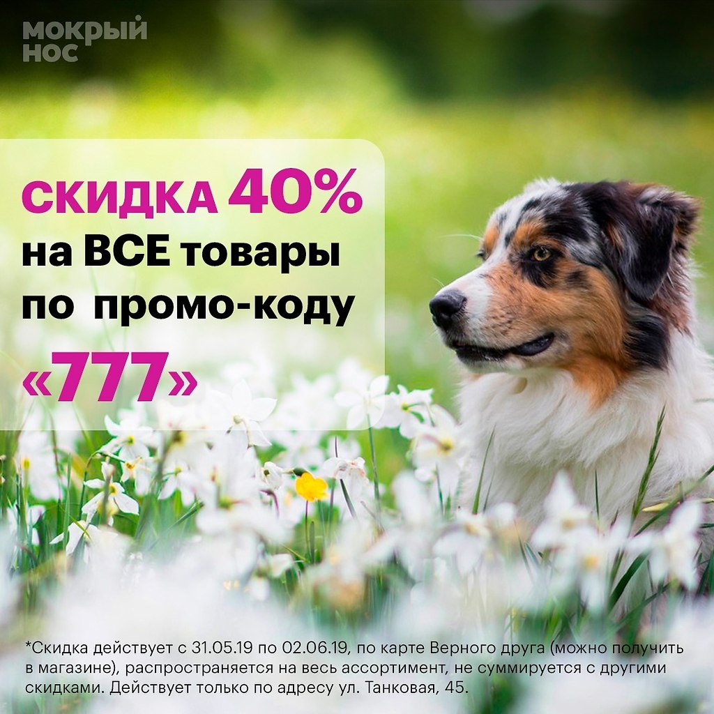 Промокод Мокрый Нос Интернет Магазин