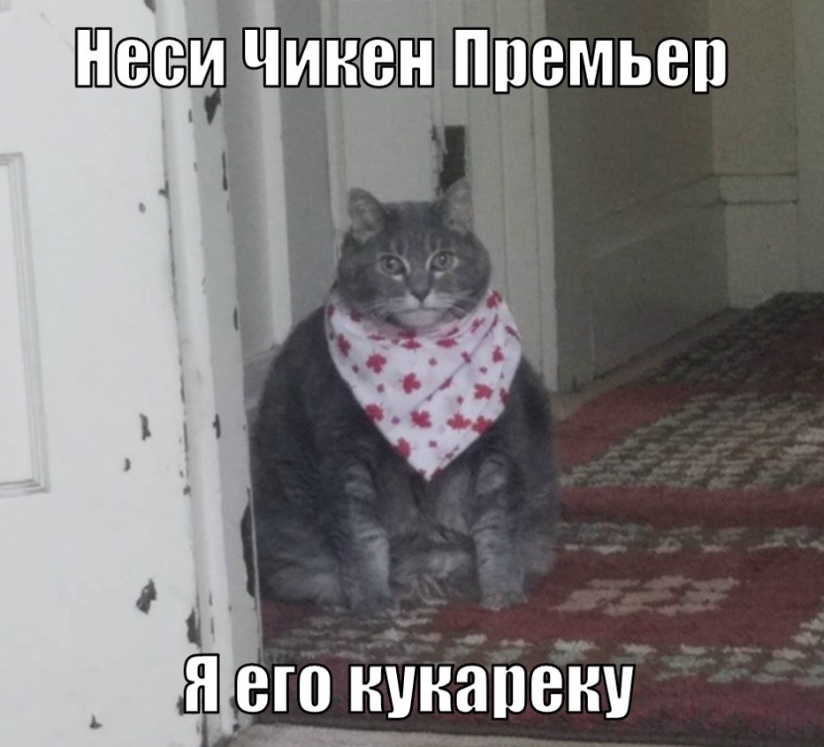 Скачай это бесплатное Фото на тему Не пущу мем и открой