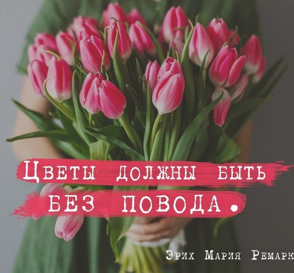 Цветы Без Повода Магазин