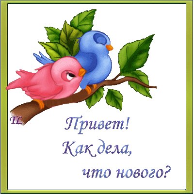 Картинки привет чем занимаешься