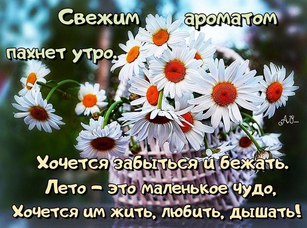 https://i09.fotocdn.net/s123/de04f27d502cf942/public_pin_l/2804616688.jpg