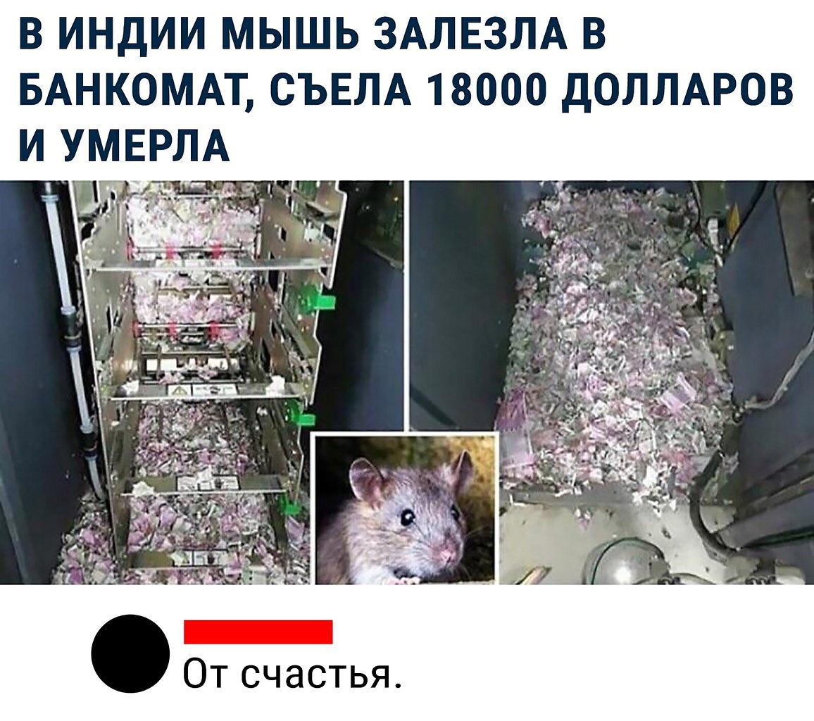 Мышь съела деньги в банкомате