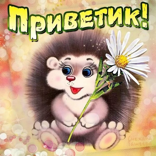 Написать, привет на открытке