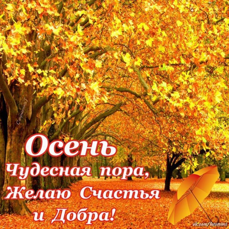 Открытку марта, осень картинки с надписью на каждый день