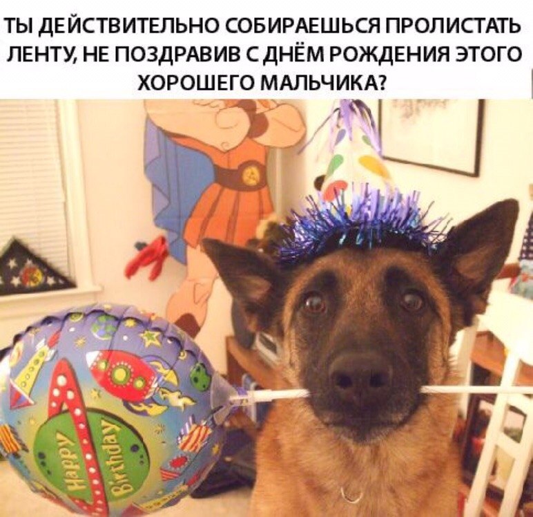 Шуточное Фото С Днем Рождения