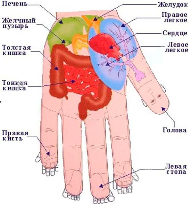 Определение болезни по картинке