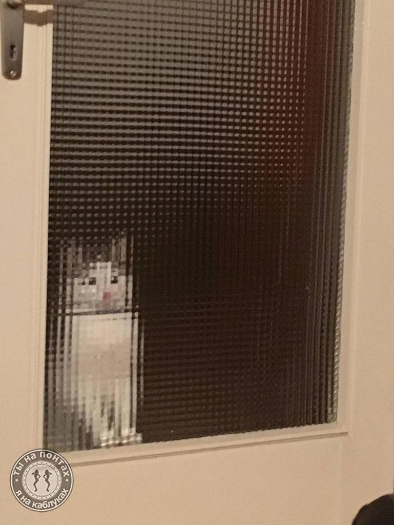 Кот наоборот