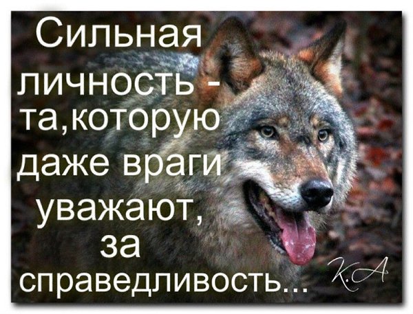 Уважать противника. Сильный враг. Даже враги уважают. Уважай противника. Уважать врага.