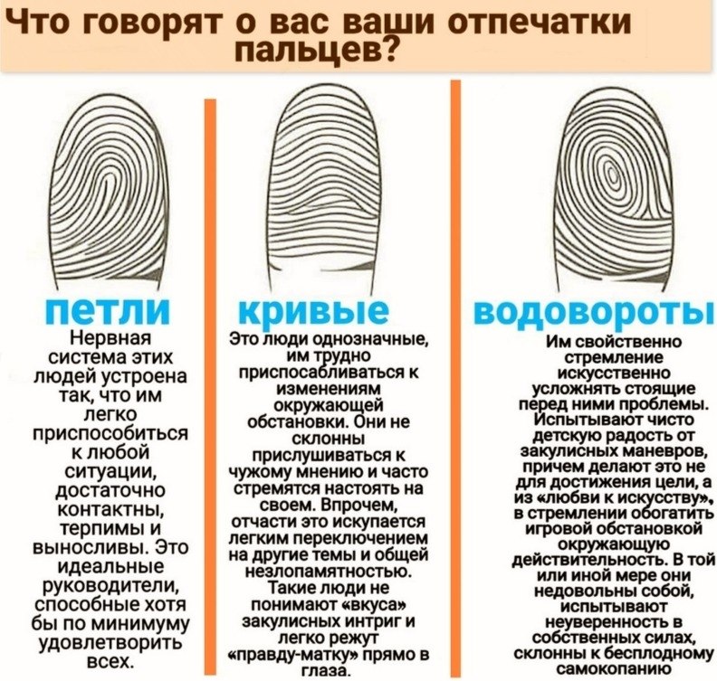 Дерматоглифика виды рисунков значение преобладающих типов