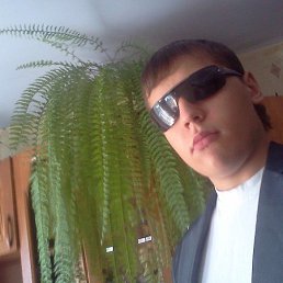 , 27, 