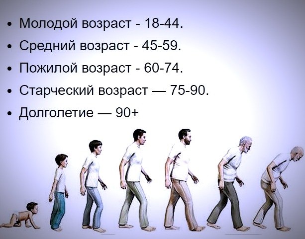 Скольки человек. Классификация возрастов по воз 2022. Возрастные группы людей. Возрастные категории людей по возрасту. Возраст человека по воз.