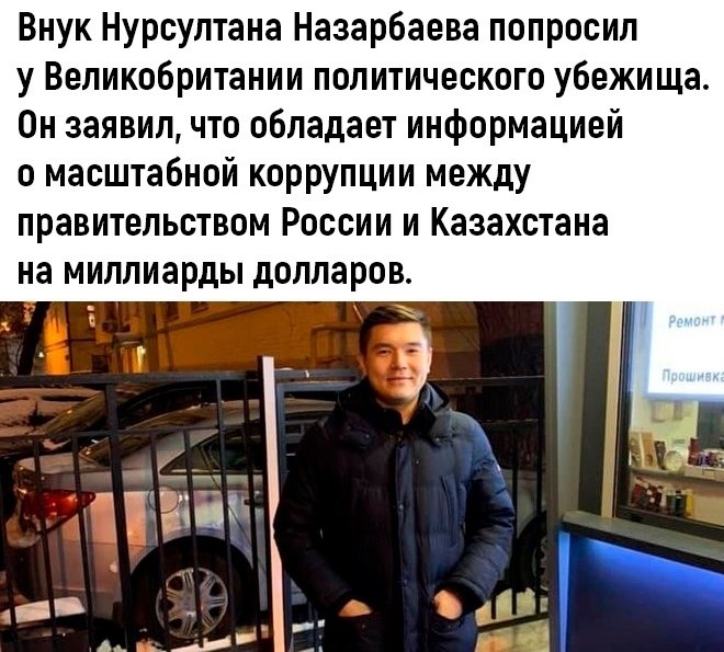 Политическое убежище презентация