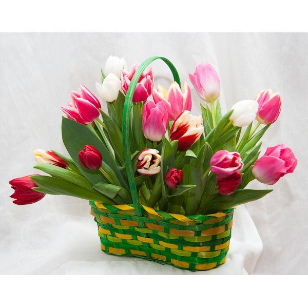 Тюльпаны в оазисе. Мелкоцветные тюльпаны. Корзинка с тюльпанами. Букет из тюльпанов. Красивые букеты из тюльпанов.