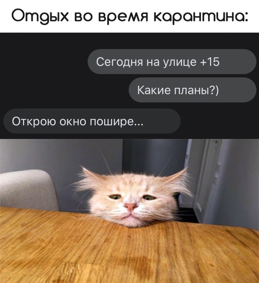 На ночь какие планы