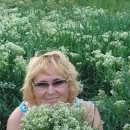 Елена, 59 лет, Волгоград