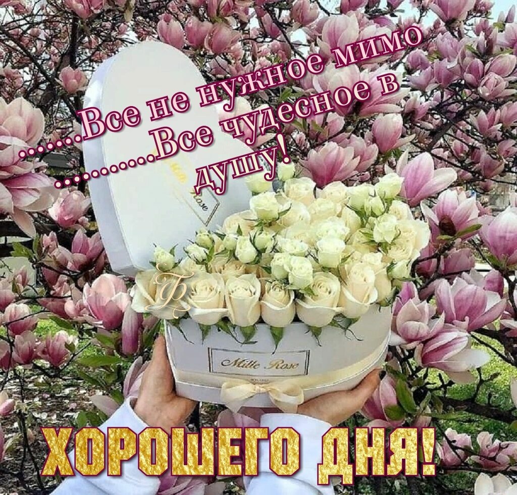Пусть идеи. Пусть мысли будут светлыми а дела добрыми. пусть мысли будут светлыми а дела. день топооп.