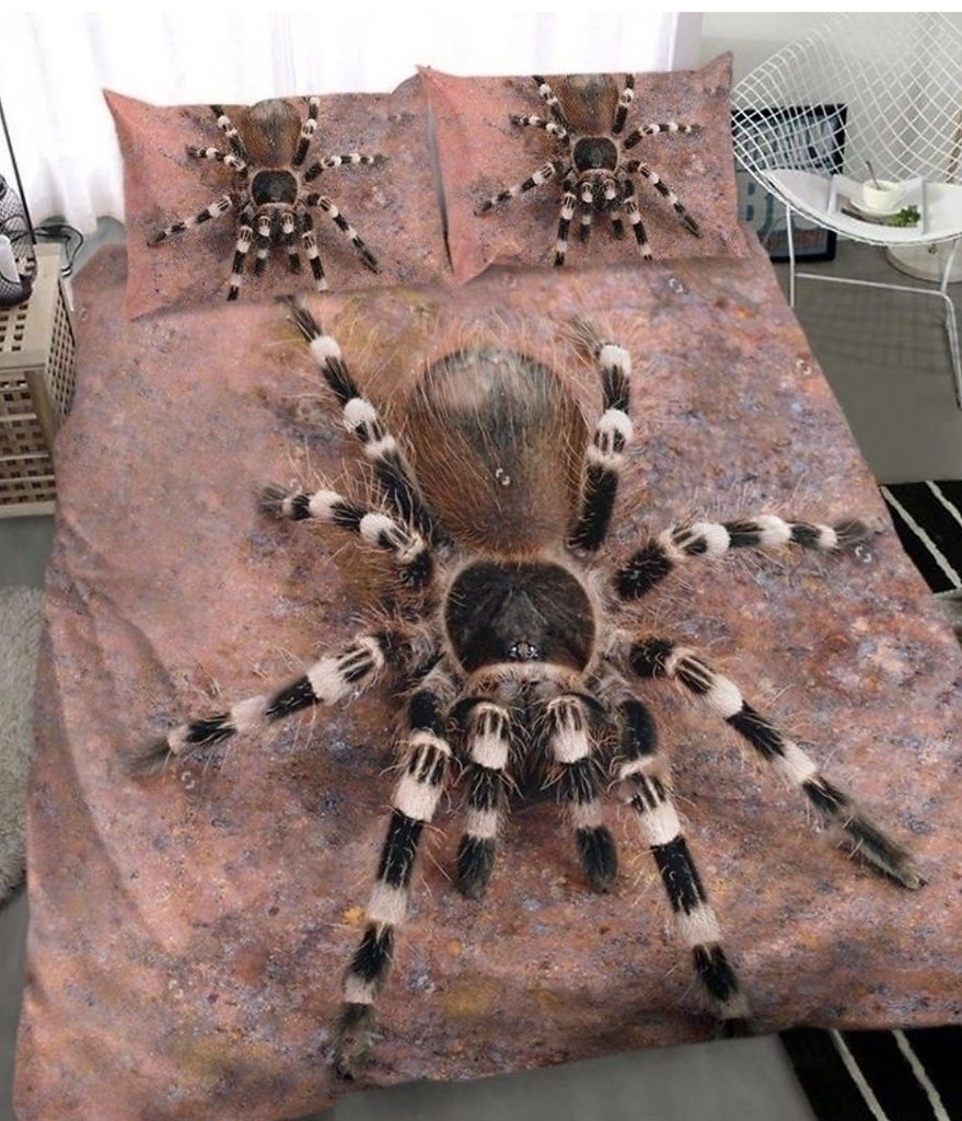 Постельное белье с пауками тарантулами