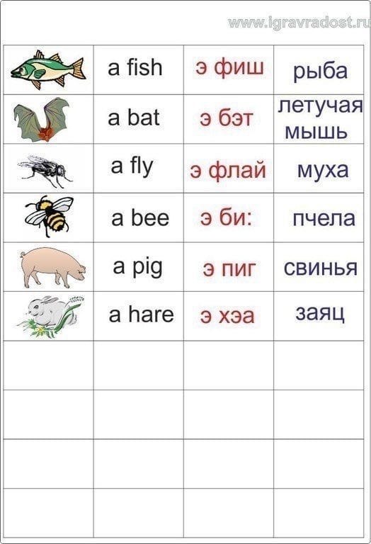 Английские слова и картинки