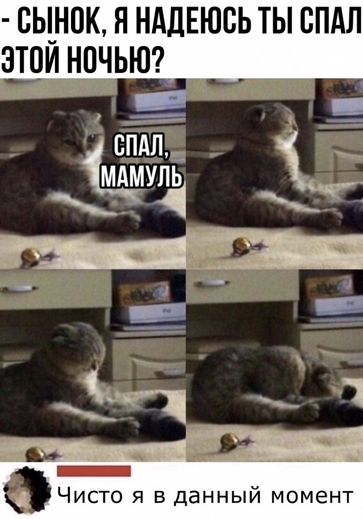 Кот тефтелька. Беспомощность мем. Котики среда. Мое состояние сейчас. Моё состояние сейчас картинки.