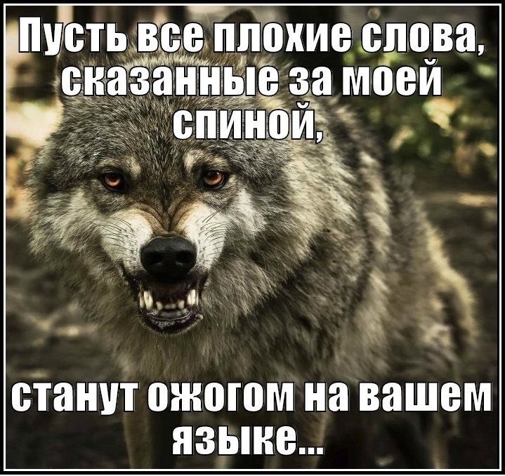 Не бойтесь врагов бойтесь друзей картинки