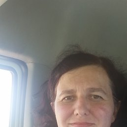 , 40 , 