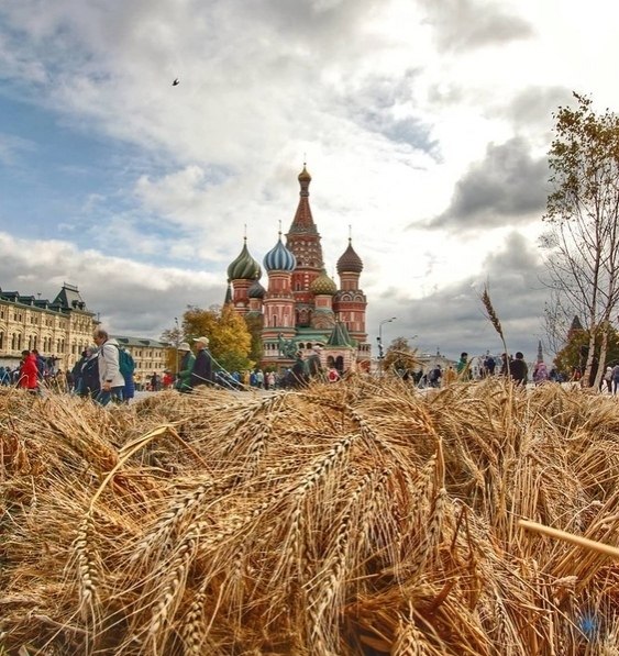 Осень на красной площади