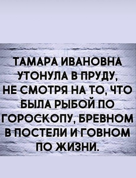 2910560087.jpg