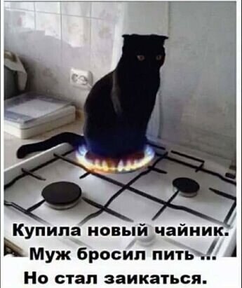 2908851688.jpg