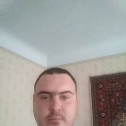 , 29, 