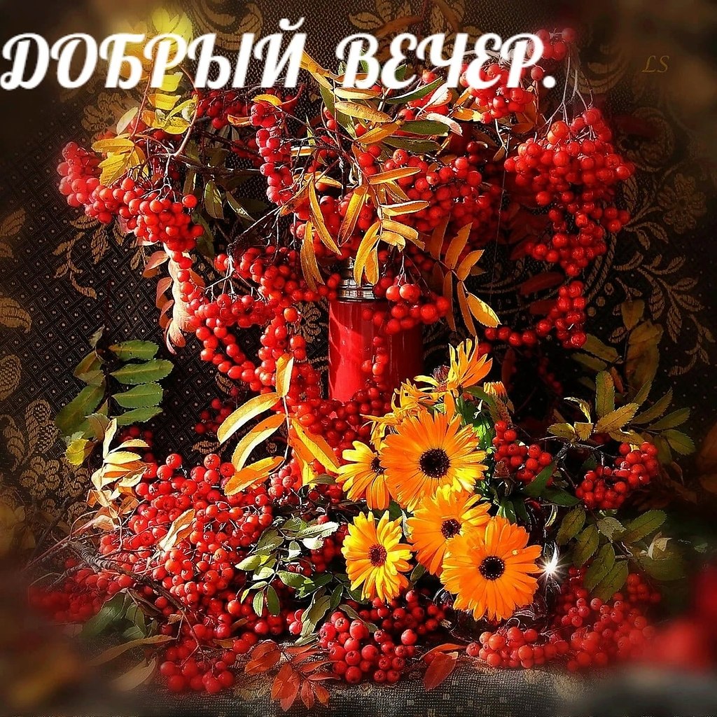 ПРИВЕТСТВИЯ и ПОЖЕЛАНИЯ, открытки на каждый день., №2228938992 ...